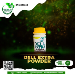 DELL EXTRA POWDER